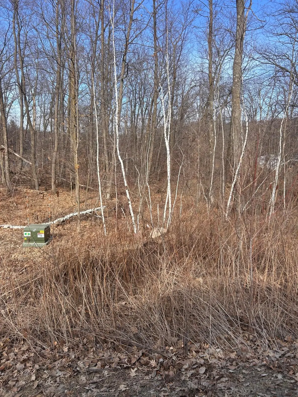 xxx Lake Camile Rd, Cushing, MN 56443 - Image #1