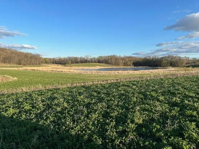 Lot 3 Blk 2 Lakeway Drive, Pelican Rapids, MN 56572 - Image #1