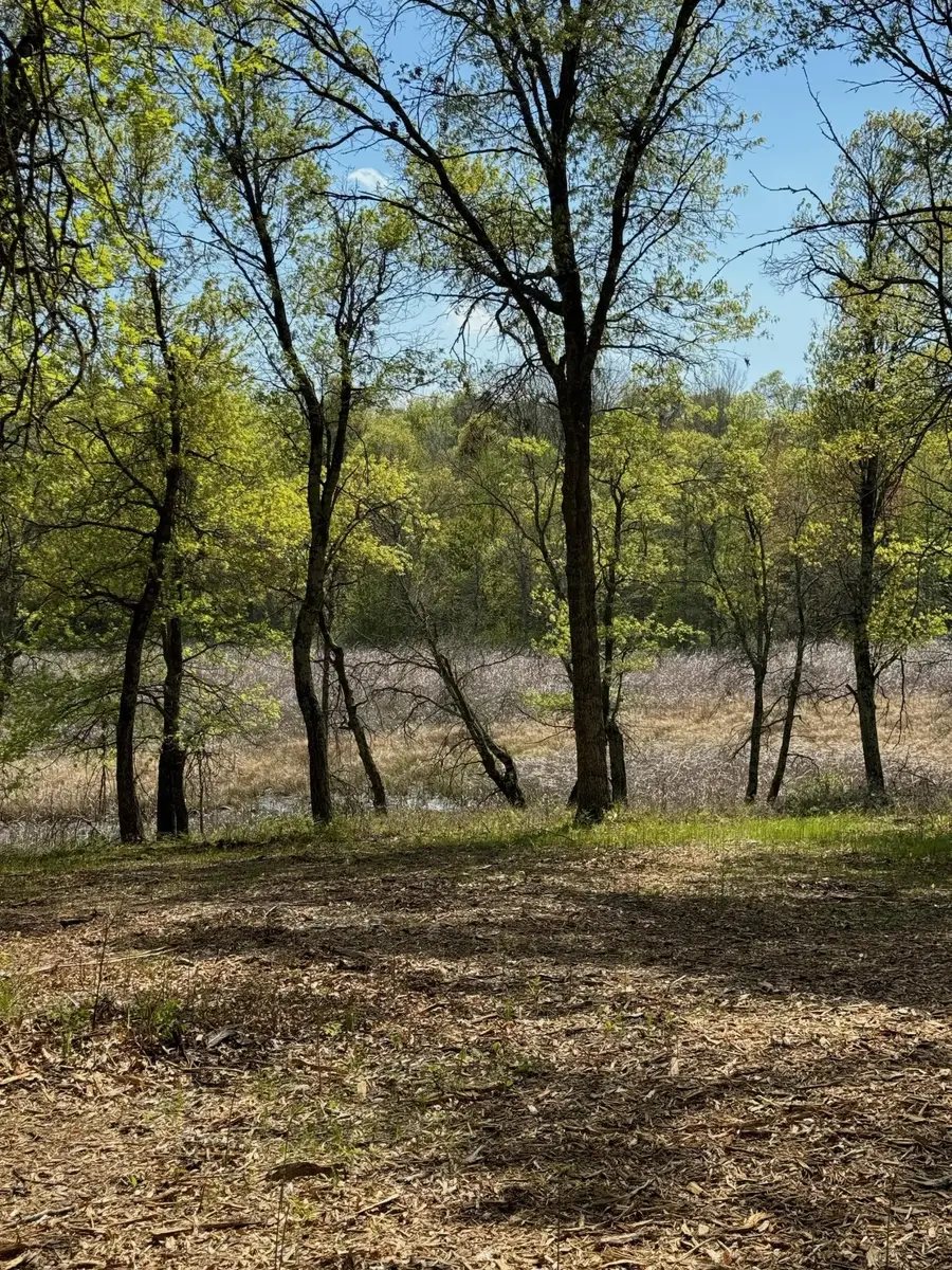 Lot 12 Crystal Lake Drive, Danbury, WI 54830 - Image #3