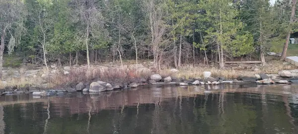 TBD Grindstone Acres, International Falls, MN 56649