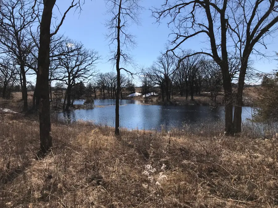 XXXX 50th Street N, Lake Elmo, MN 55042 - Image #2