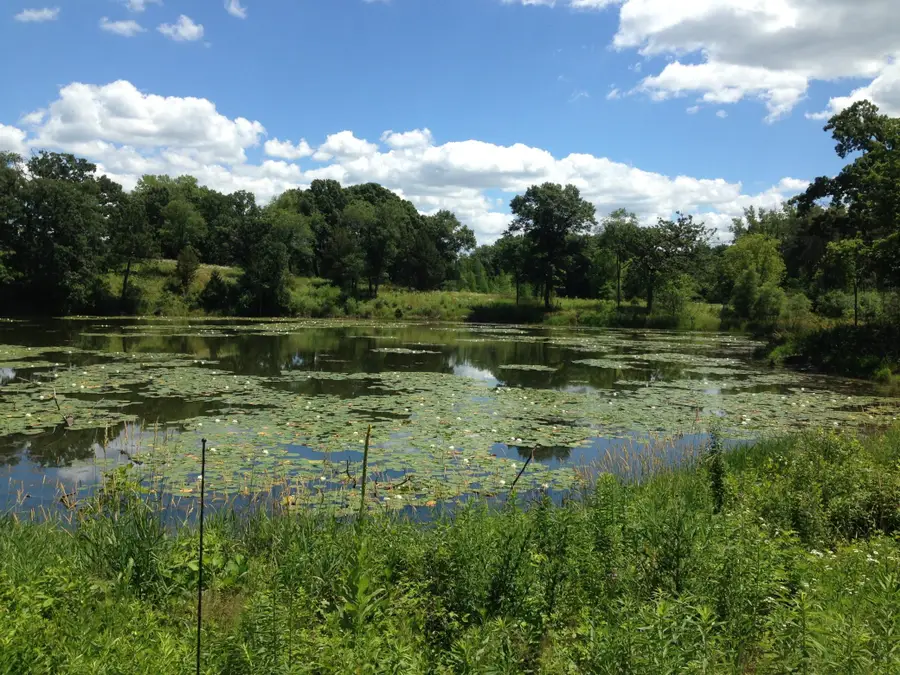 XXXX 50th Street N, Lake Elmo, MN 55042 - Image #3