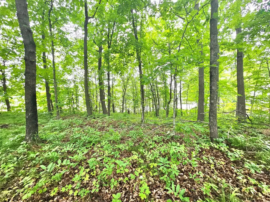 TBD East Grace Street, Isle, MN 56342 - Image #3