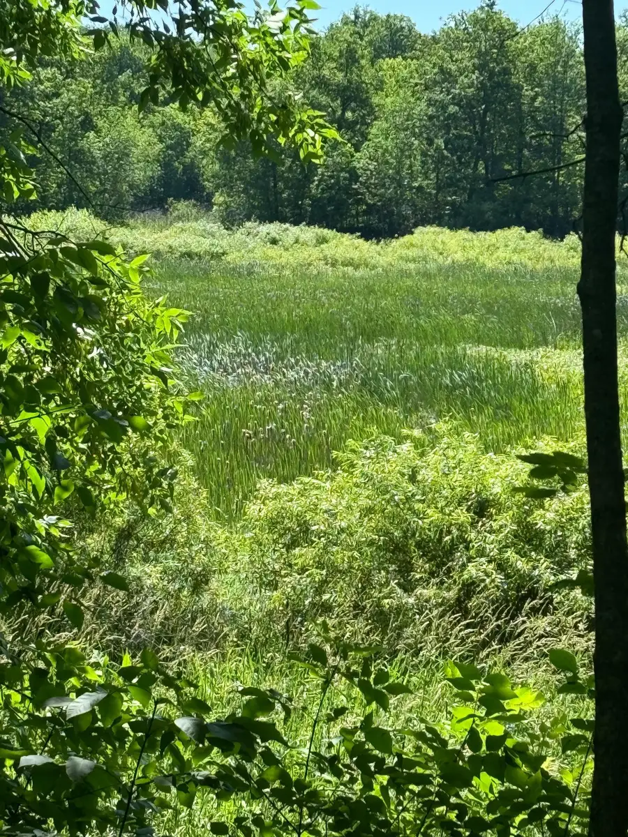 Lot 7+8 Baffie Bend, Kathio Township, MN 56450 - Image #2