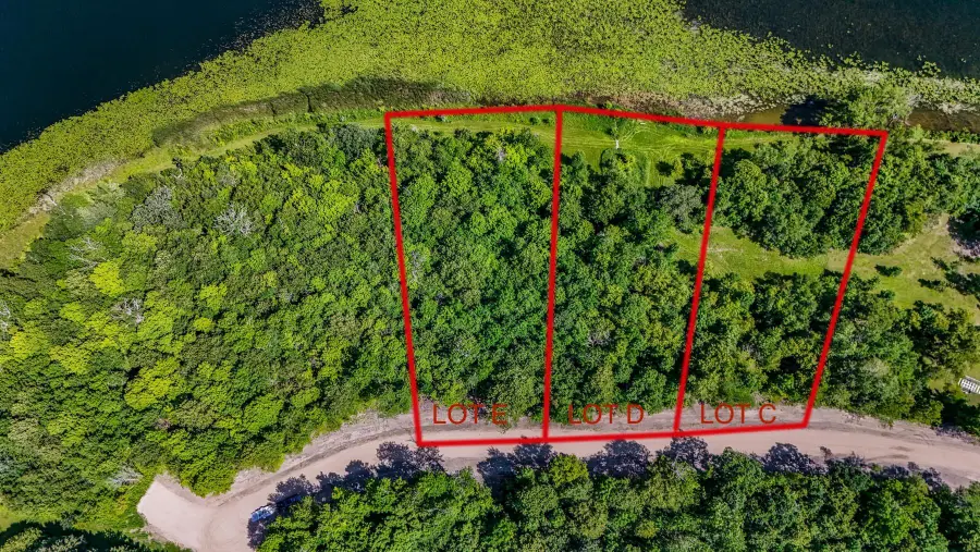 290XX N Buffalo Lake Rd E, Callaway, MN 56521 - Image #2