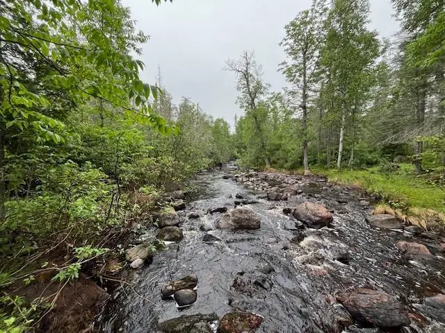 xxxx Crown Creek Spur Road, Finland, MN 55603 - Image #1