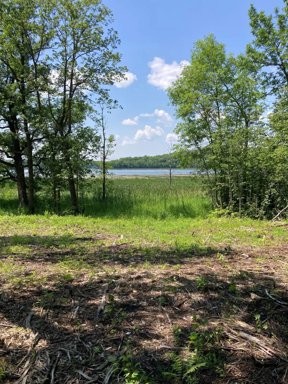 1246 Island Lake Resort Drive, Lengby, MN 56651 - #1