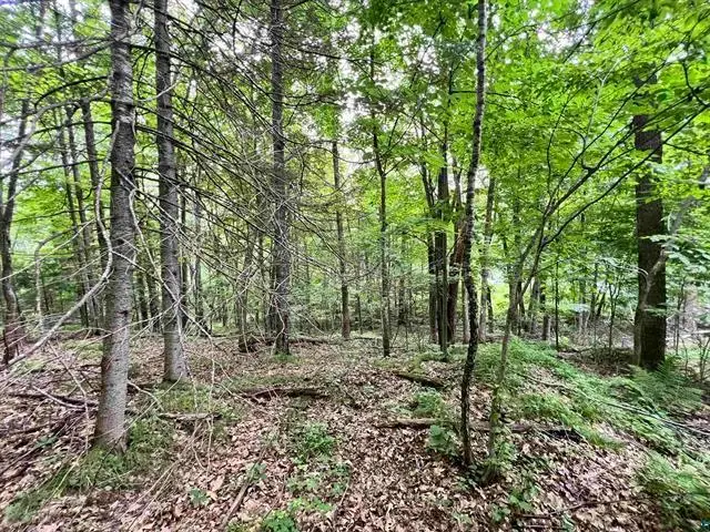 xxx Chippewa Tr, Weirgor, WI 54867 - Image #3