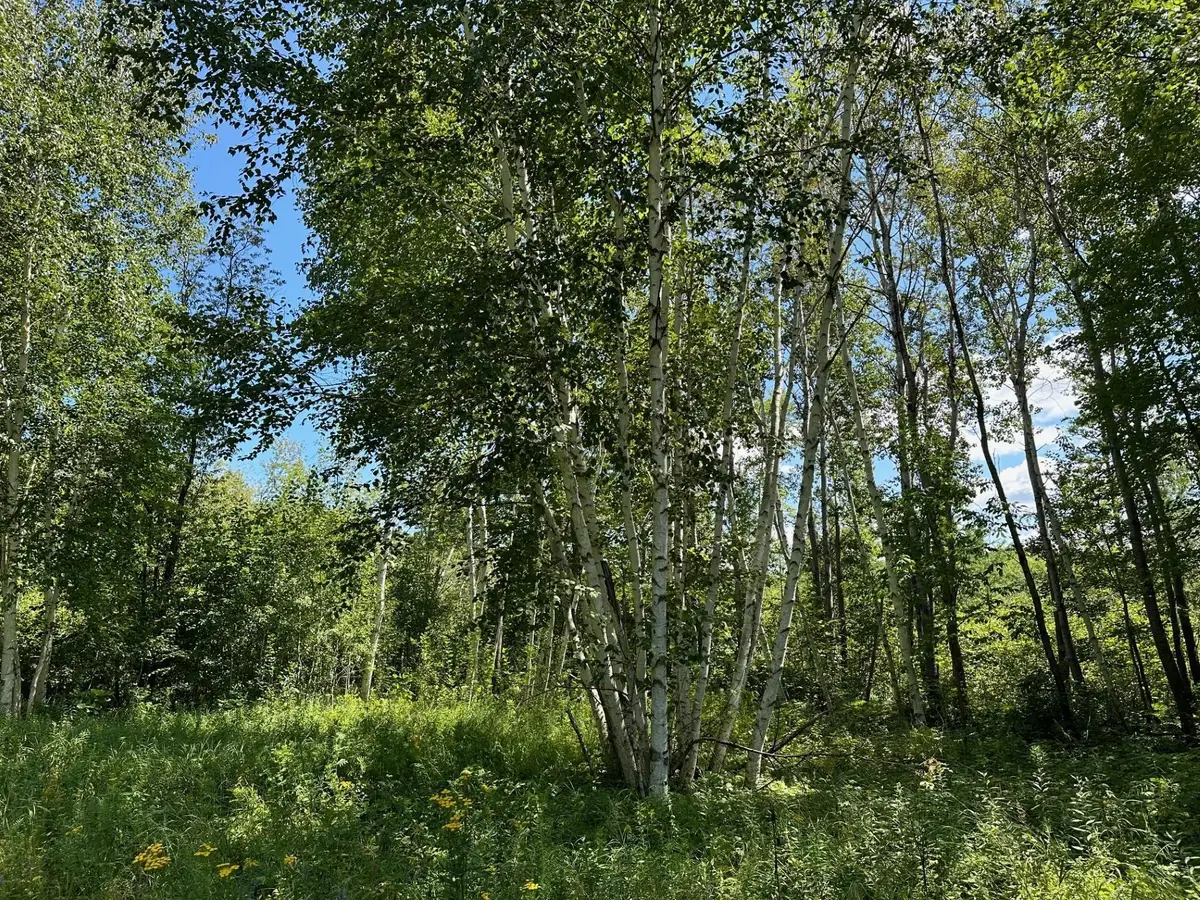 TBD Nokay Hall Road, Brainerd, MN 56401 - #1