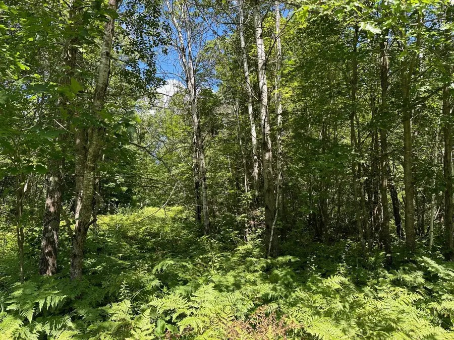 TBD Nokay Hall Road, Brainerd, MN 56401 - #2