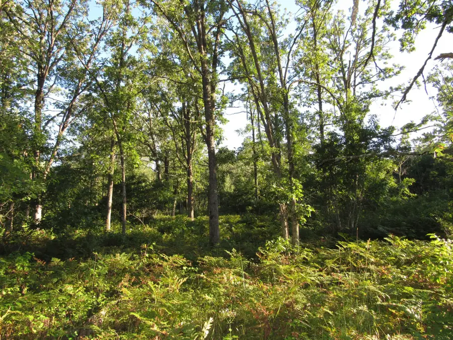 TBD 12th Street Sw, Pine River Township, MN 56435 - Image #3