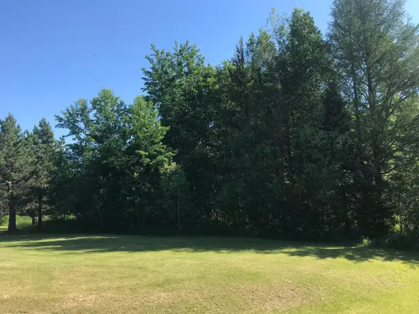 TBD Rodeo Drive Nw, Bemidji, MN 56601