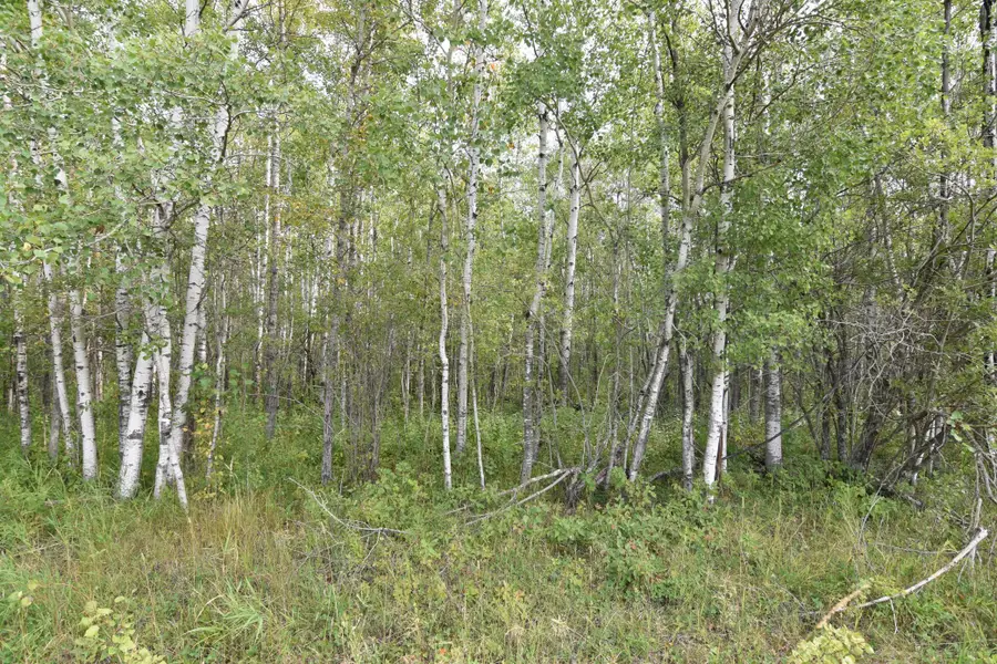 8324 60th Street Nw, Lakewood, MN 56686 - Image #3