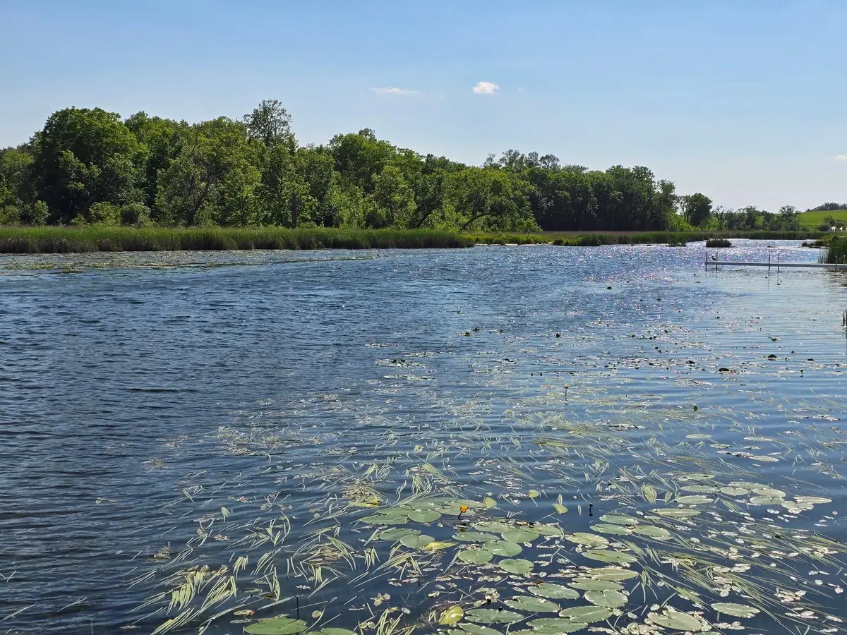 Tract K Blybergs Lane, Pelican Rapids, MN 56572 - Image #1