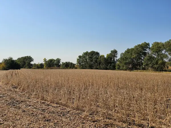 - Mamre Twp, Pennock, MN 56279