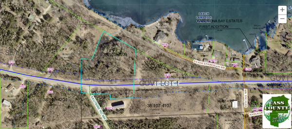 TBD County Road 38, Walker, MN 56484