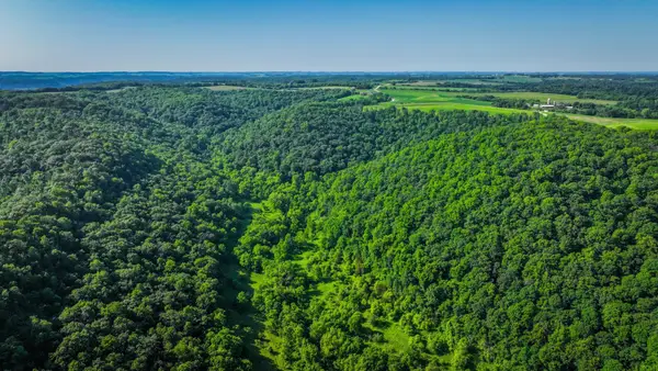 xxx East Twin Ridge Road, Houston, MN 55943