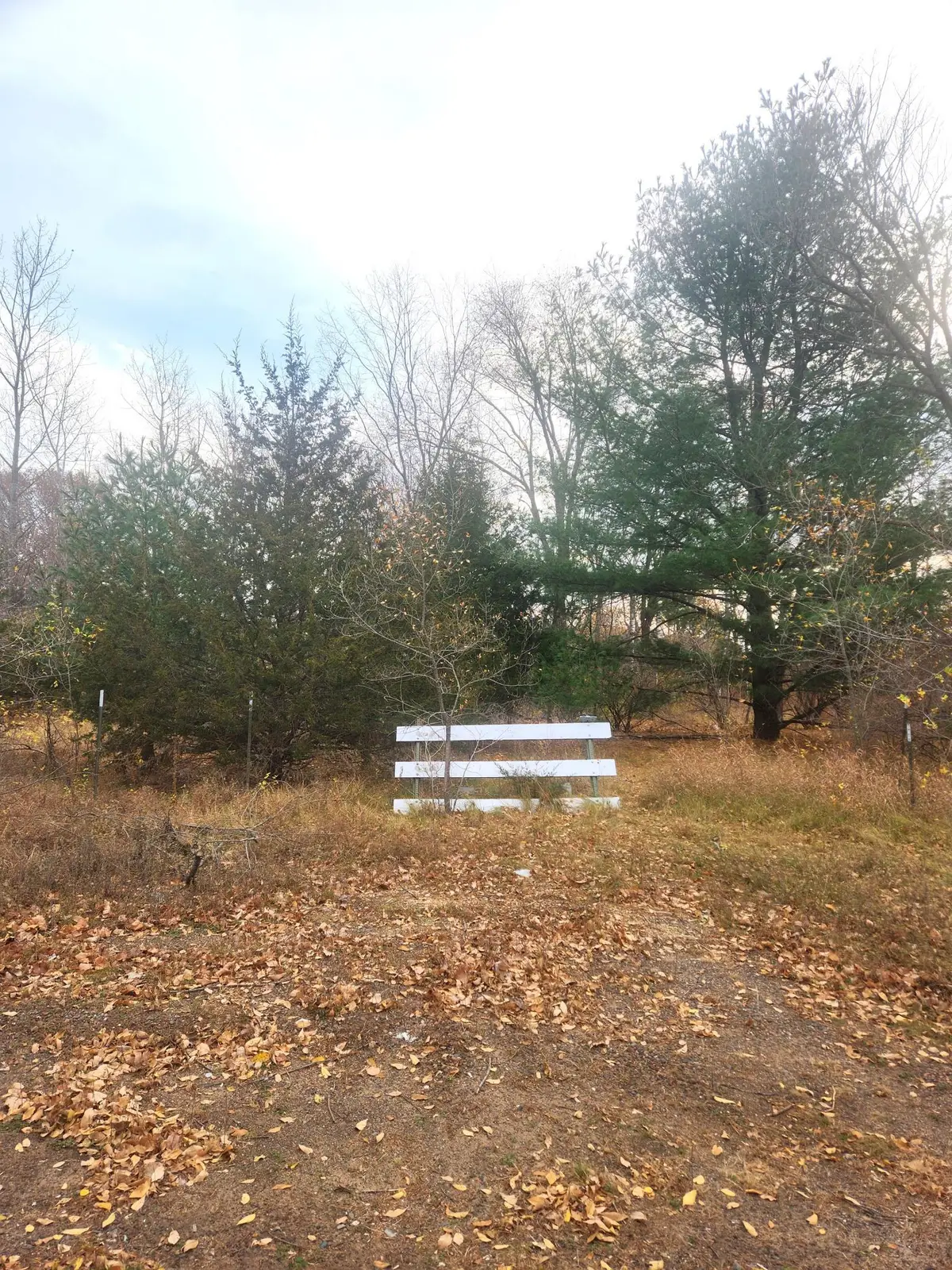 xxx W Leonard Street, Chetek, WI 54728 - #1