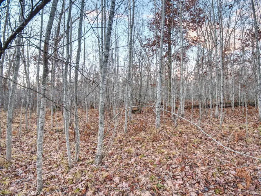 XXXX Aspen Hill Court, Jackson, WI 54830 - Image #3