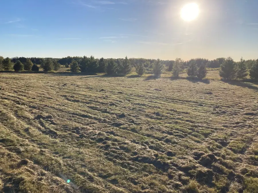 xx Hummingbird Road, Royalton, MN 55006 - Image #3