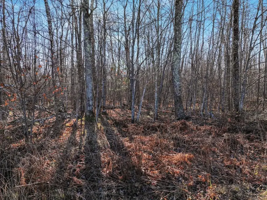 Lot 14 Peninsula Road, Hayward, WI 54843 - Image #2