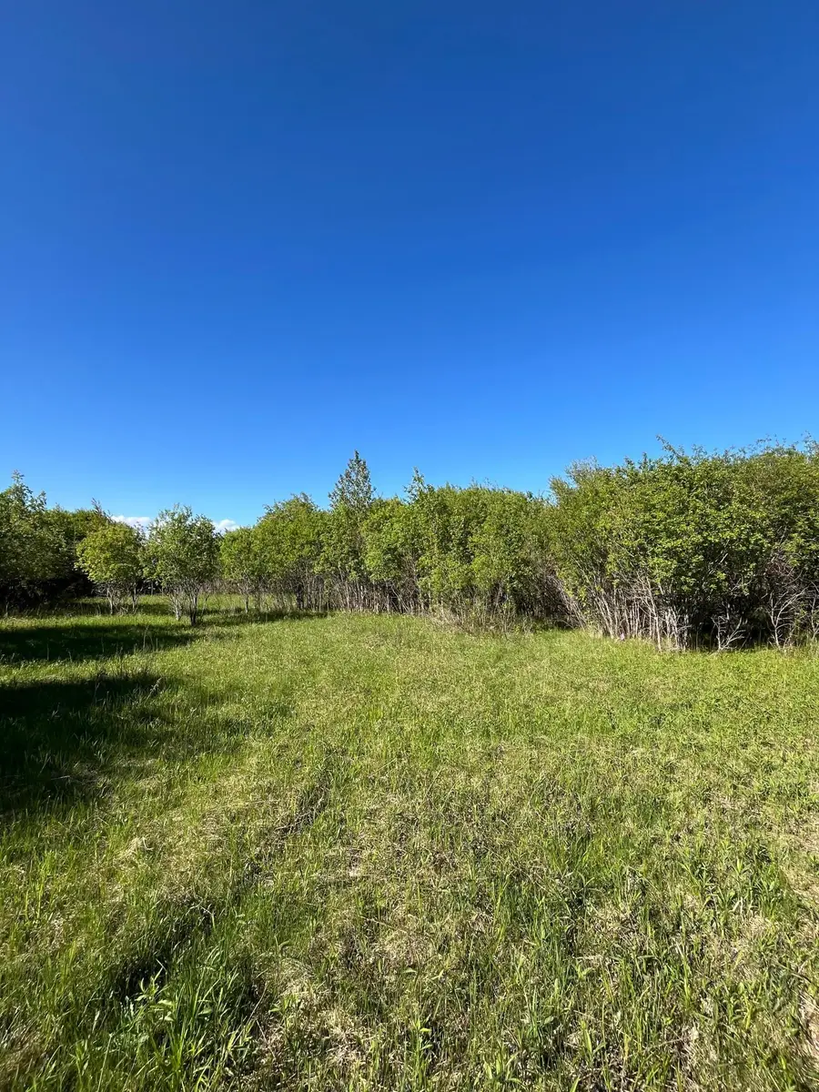 Lot 3 - TBD 330th Street, Warroad, MN 56763 - Image #3