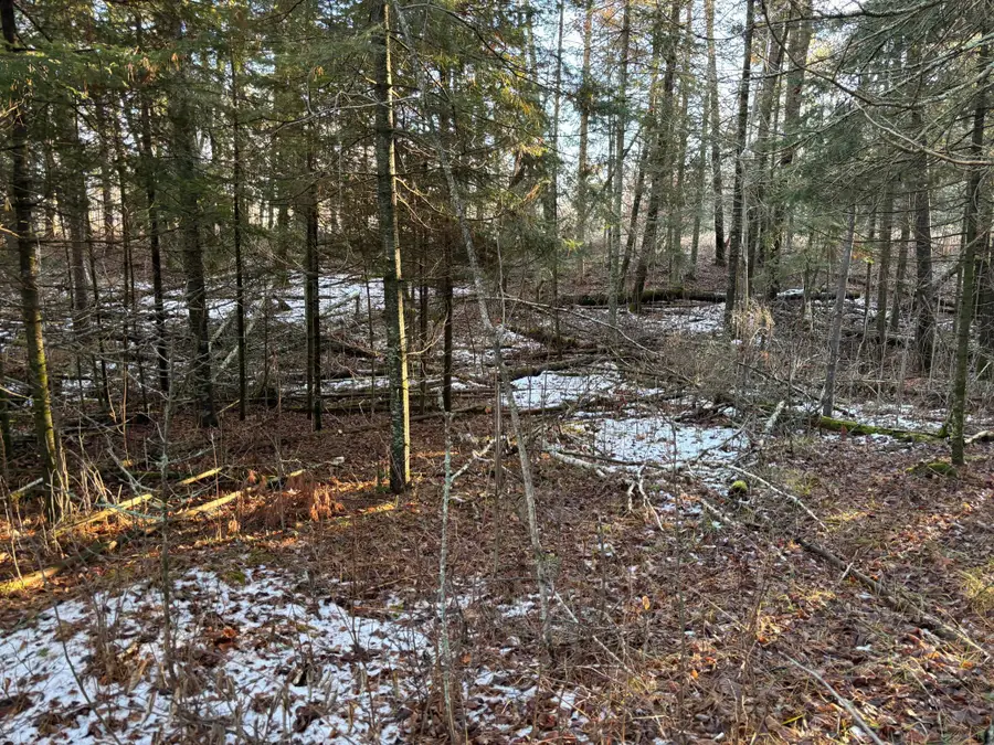 XXXX NW County 47, Longville, MN 56655 - Image #3