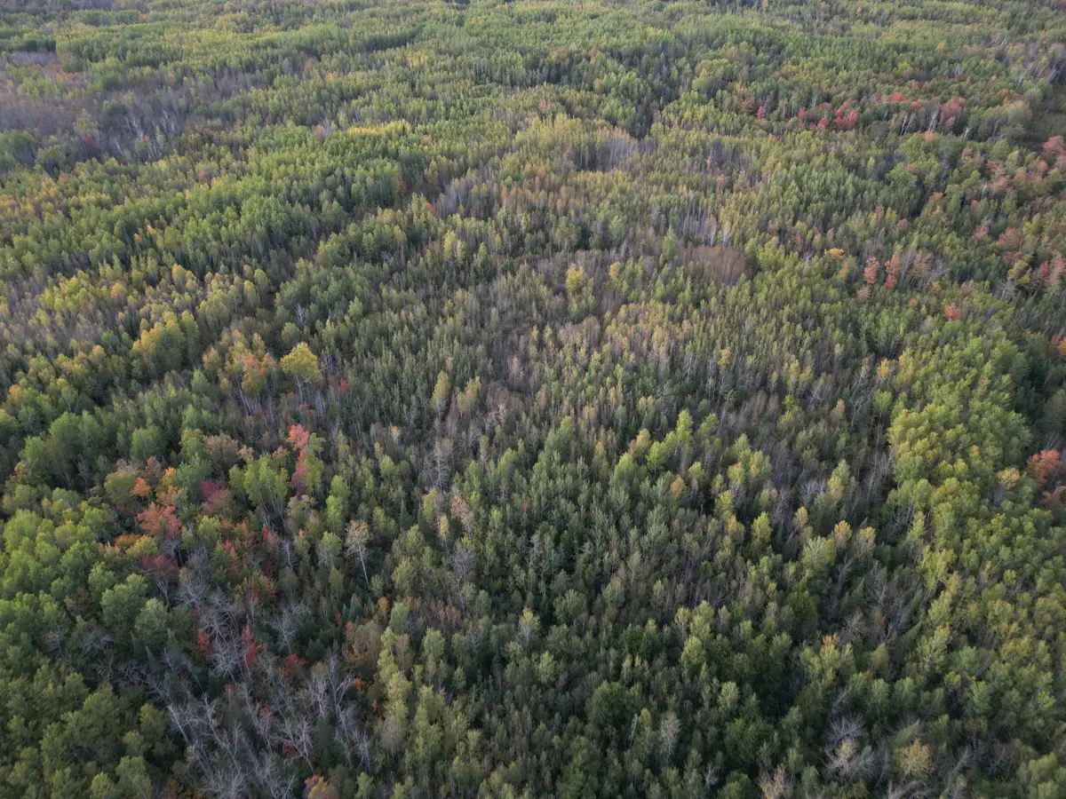 TBD Us-71, Big Falls, MN 56627 - Image #1