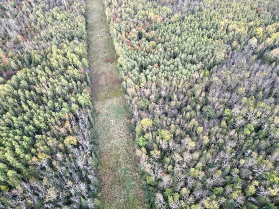 TBD Us-71, Big Falls, MN 56627 - Image #2