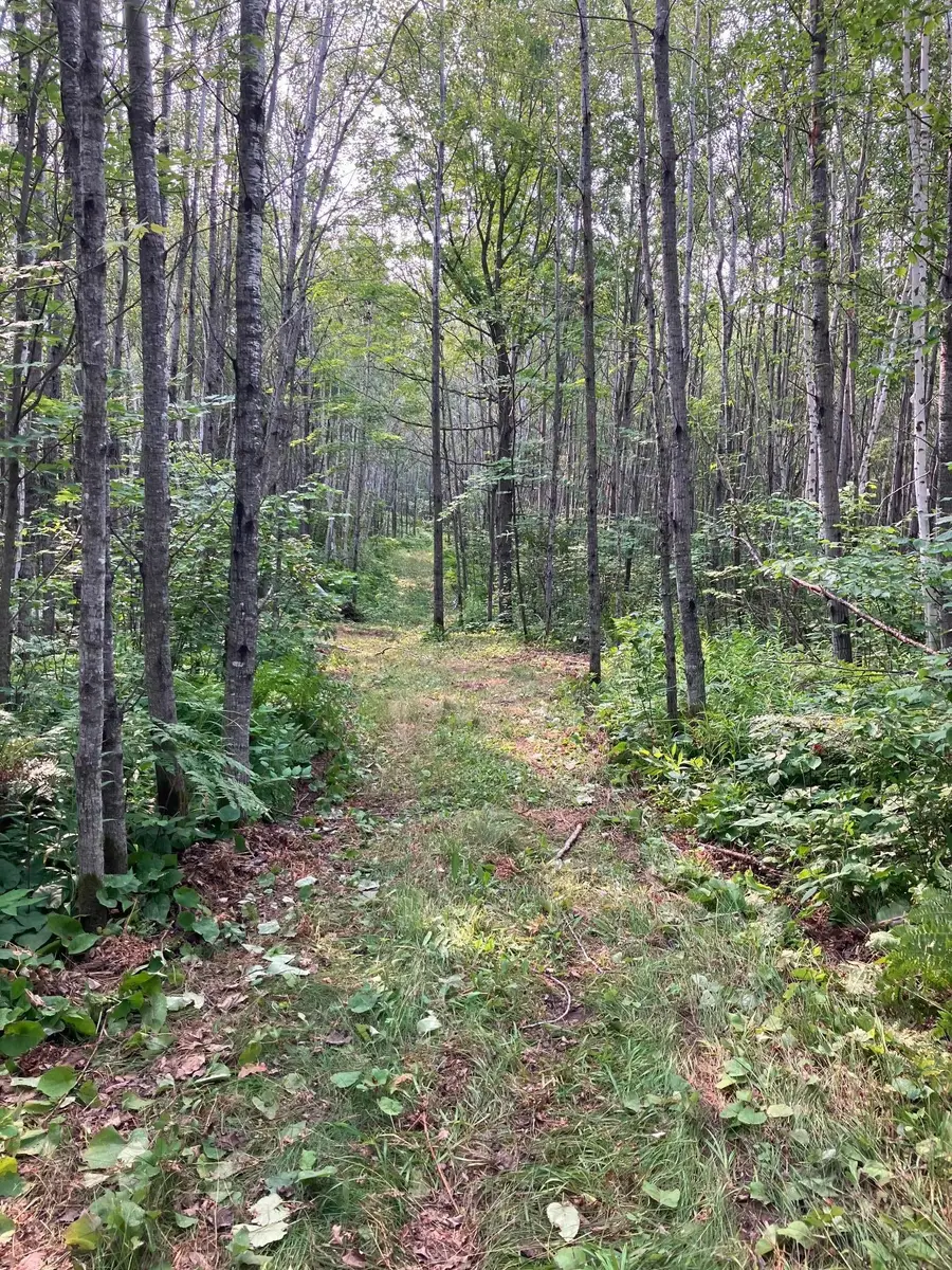 xxxx Woodbury Drive, Wright, MN 55798 - Image #3