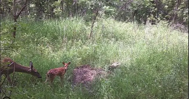 B1 L13 181st Ave Nw, Ramsey, MN 55303 - Image #3