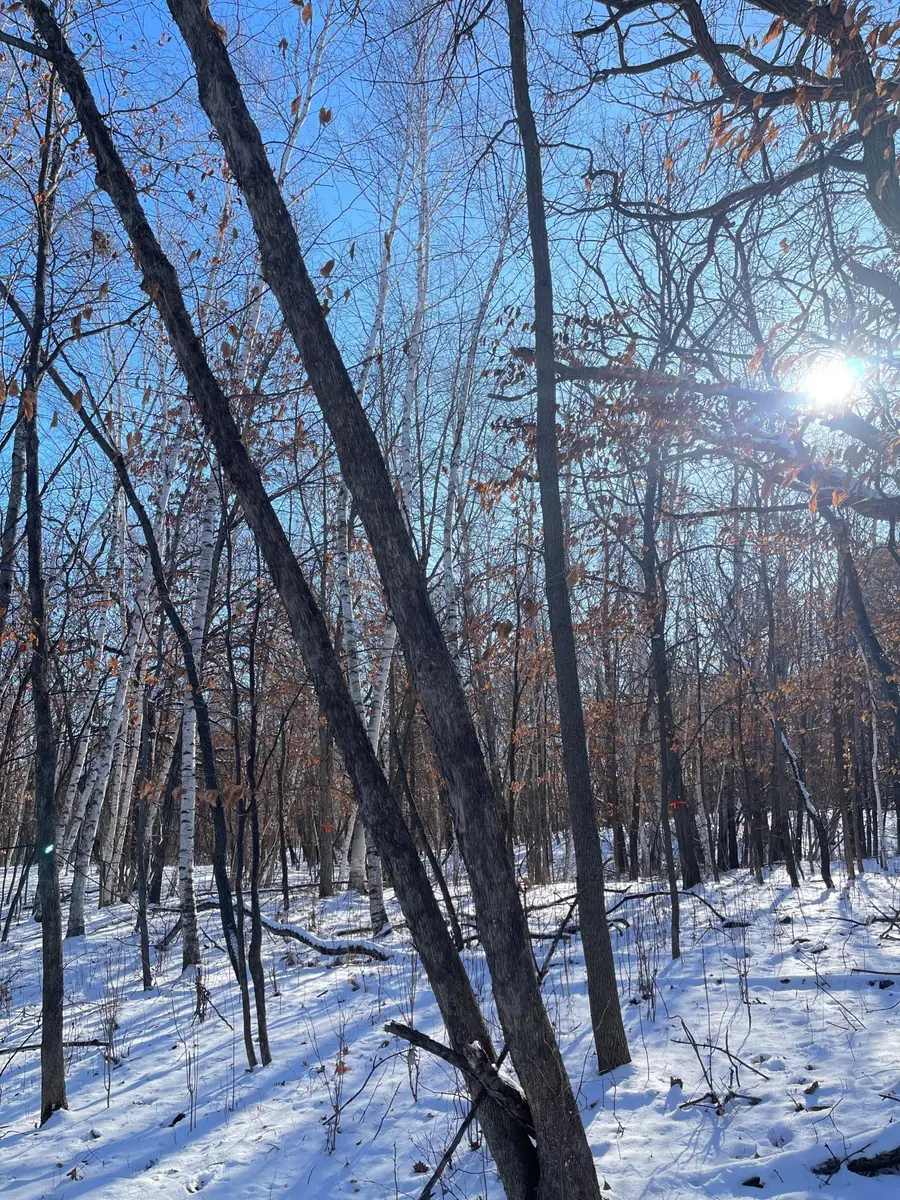 B1 L9 181st Ave Nw, Ramsey, MN 55303 - Image #3