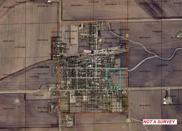 TBD 4th St., Lismore, MN 56155