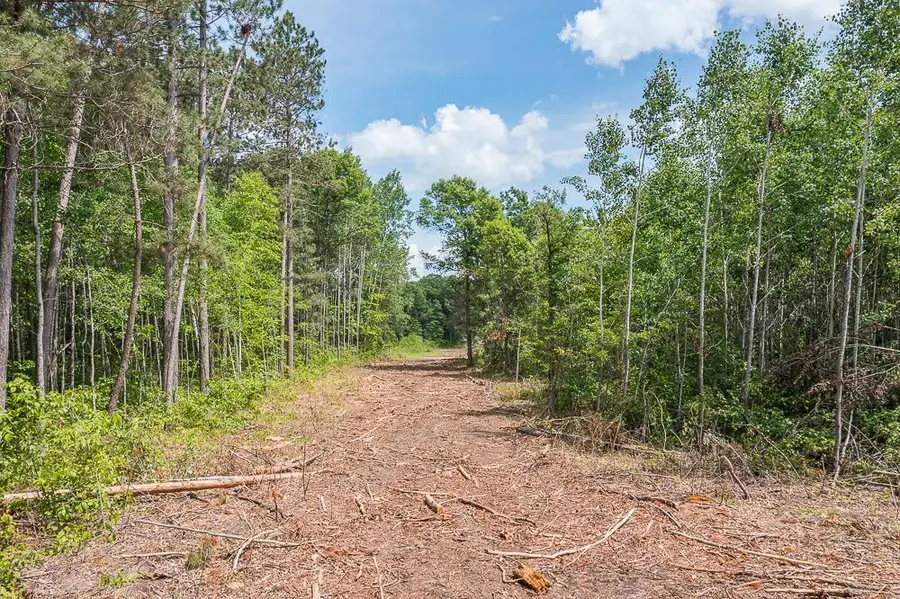 Tract B Polaris, Merrifield, MN 56465 - Image #2