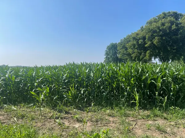 XXX 590th, Hartland Twp, WI 54723