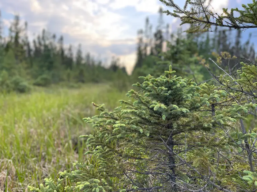 XXX Traven, Eveleth, MN 55734 - Image #3