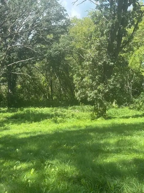 26596 Drew Avenue, Elko New Market, MN 55020 - Image #2