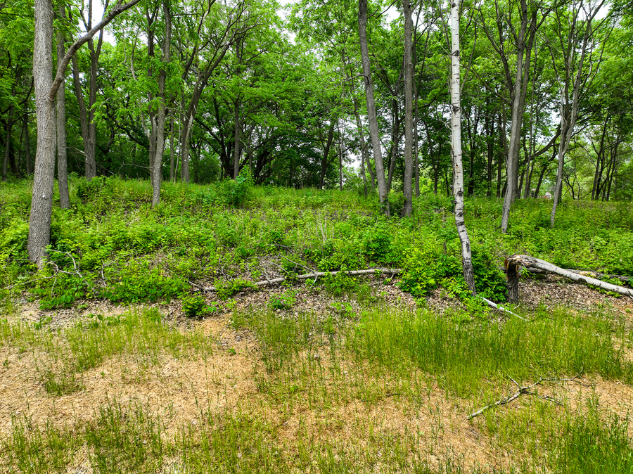 2685 Woodcliffe Trl, Hastings, MN 55033 - #2
