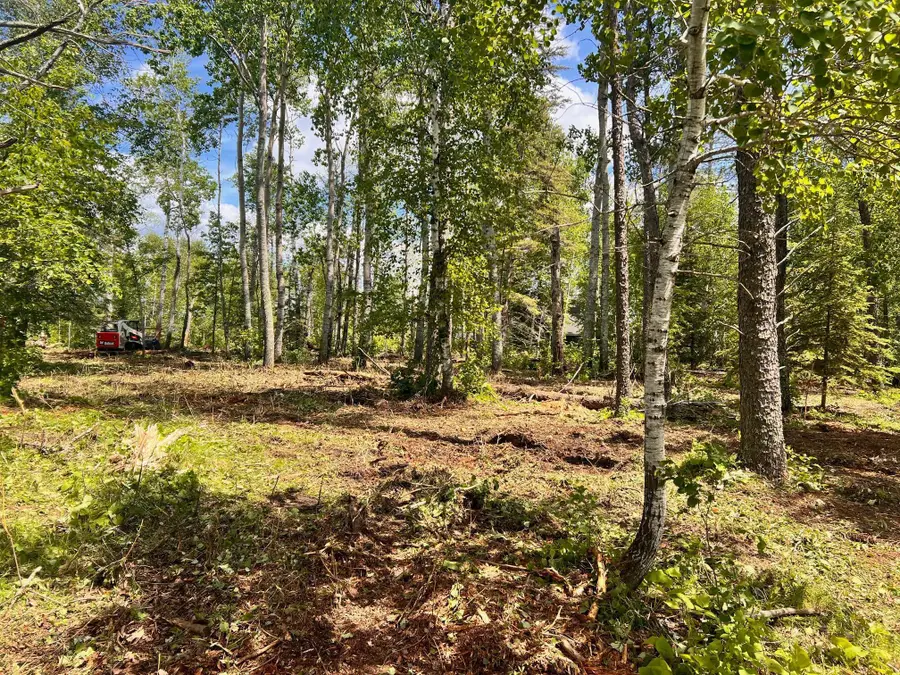 xxxx County 37, Lakeport, MN 56461 - Image #3