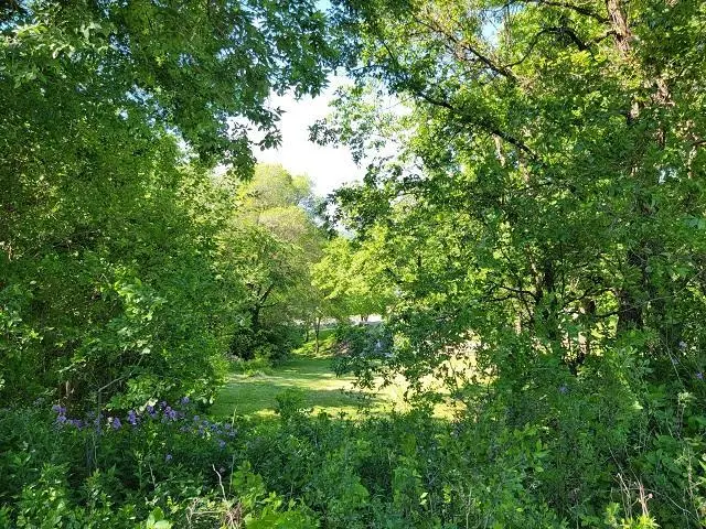 XXX W Church, Belle Plaine, MN 56011 - Image #3