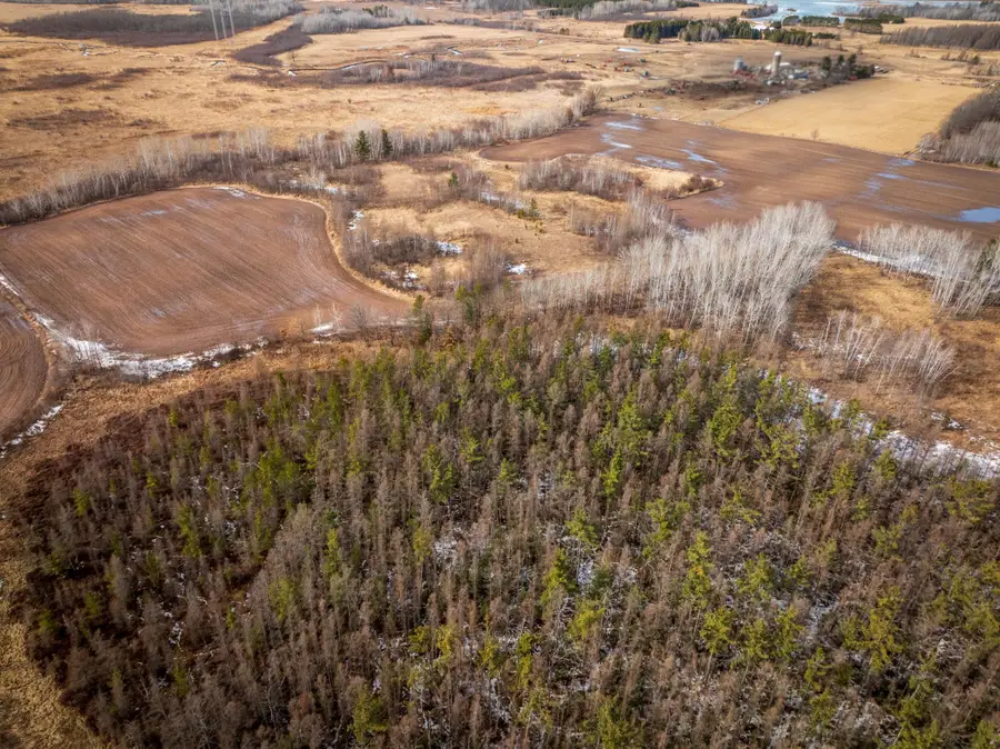 00000 Bitternut Lane, Mission Creek, MN 55037 - Image #3