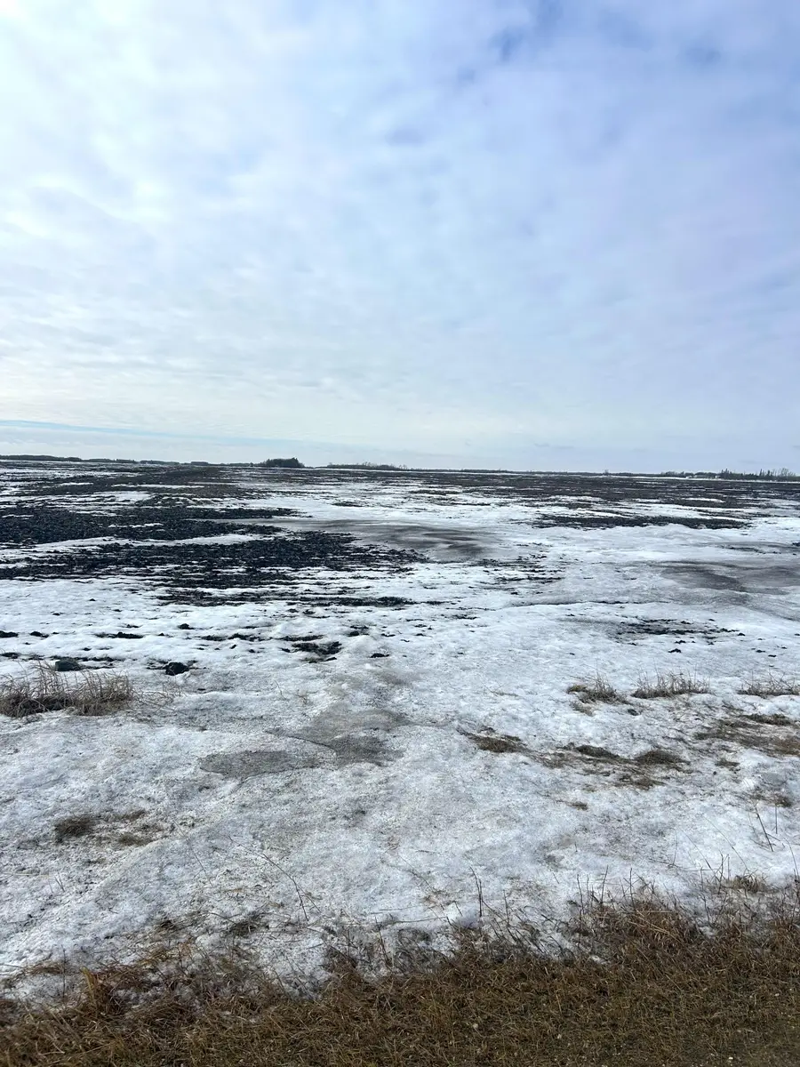 TBD 210th Avenue, Greenbush, MN 56726 - Image #2