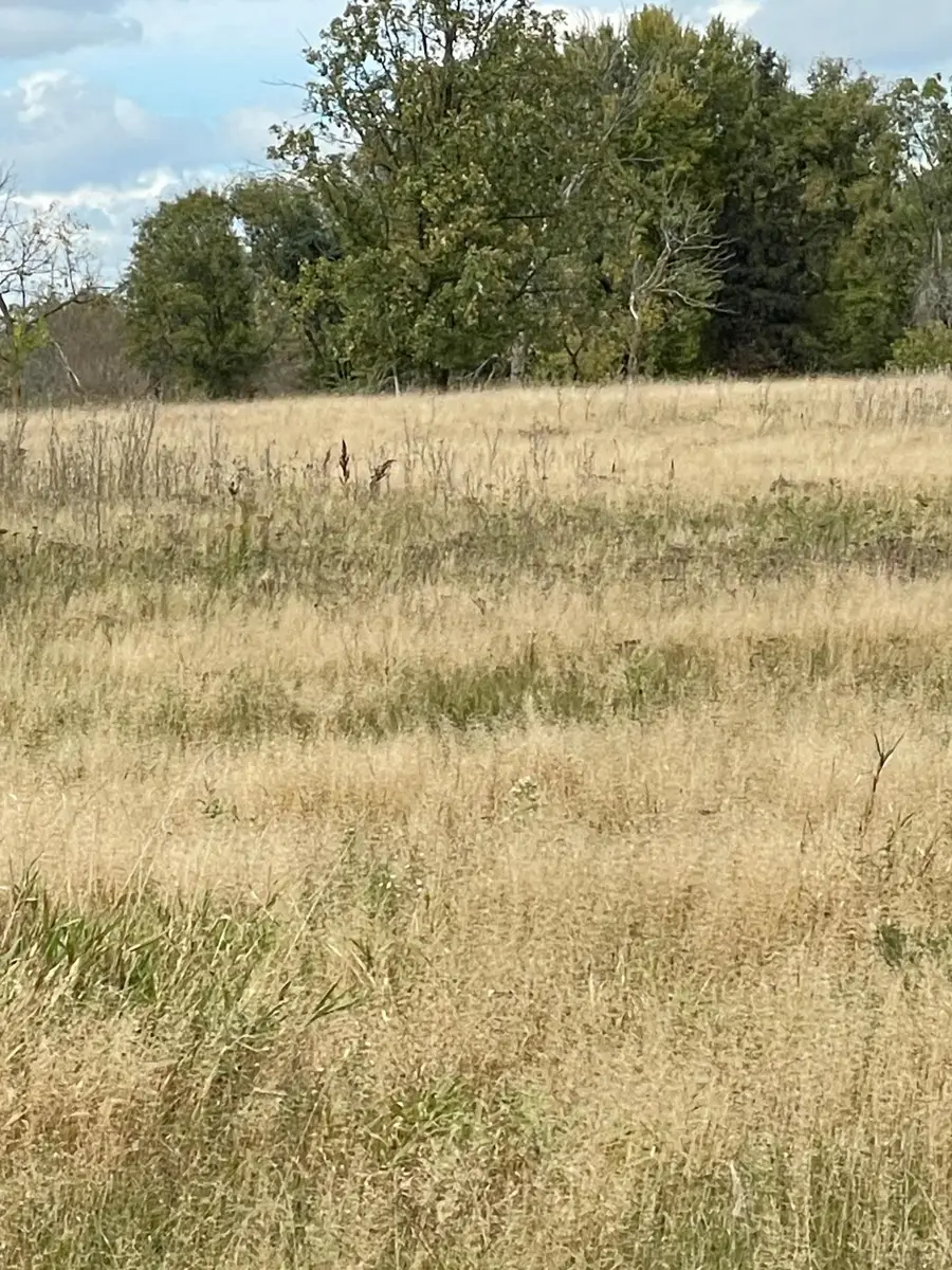 34101 83rd Avenue, Saint Joseph, MN 56374 - Image #2