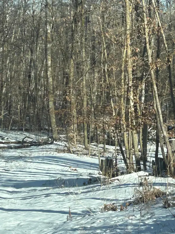 xxx Birchcurve Road, Cushing Twp, MN 56475