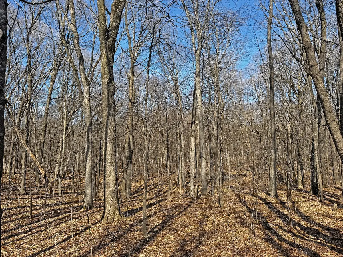 XXX 220th Street, Saint Croix Falls, WI 54024 - Image #1