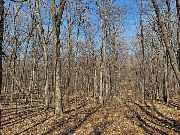 XXX 220th Street, Saint Croix Falls, WI 54024