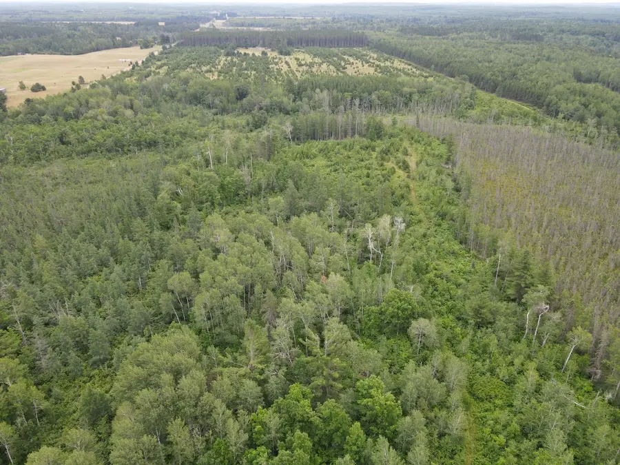 W37XX Frog Creek Road, Minong, WI 54859 - Image #3