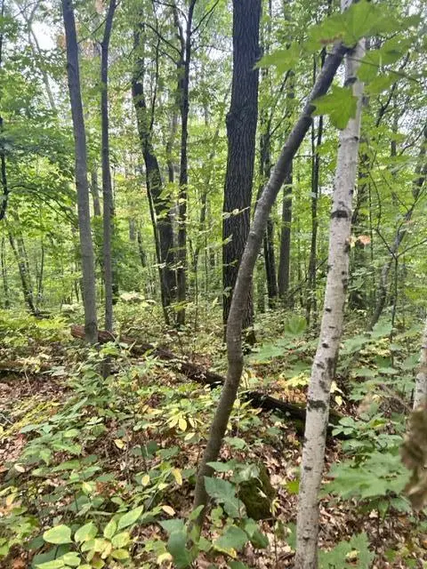 xxx Lost Lake Trl, Cushing Twp, MN 56443