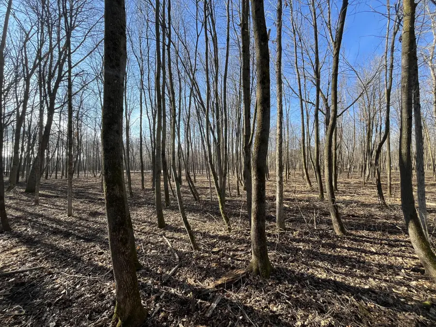 917 Scharbillig Court, Rice Lake, WI 54868 - Image #2