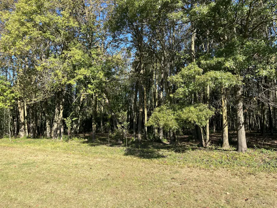 917 Scharbillig Court, Rice Lake, WI 54868 - Image #3